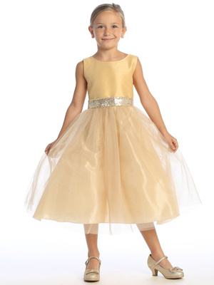 Shantung & Sparkle tulle with sequins V-Back trim